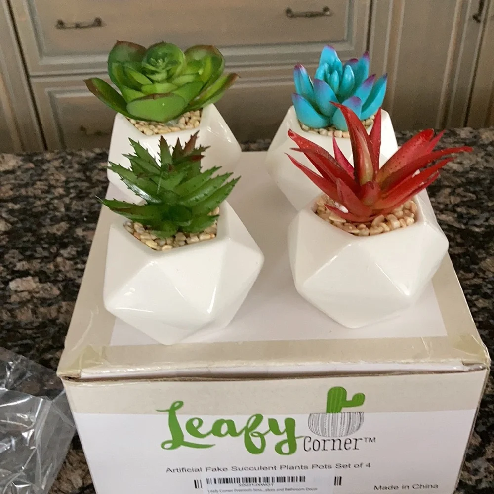 LEAFY CORNER ARTIFICIAL FAKE SUCCULENT PLANTS POTS NWT